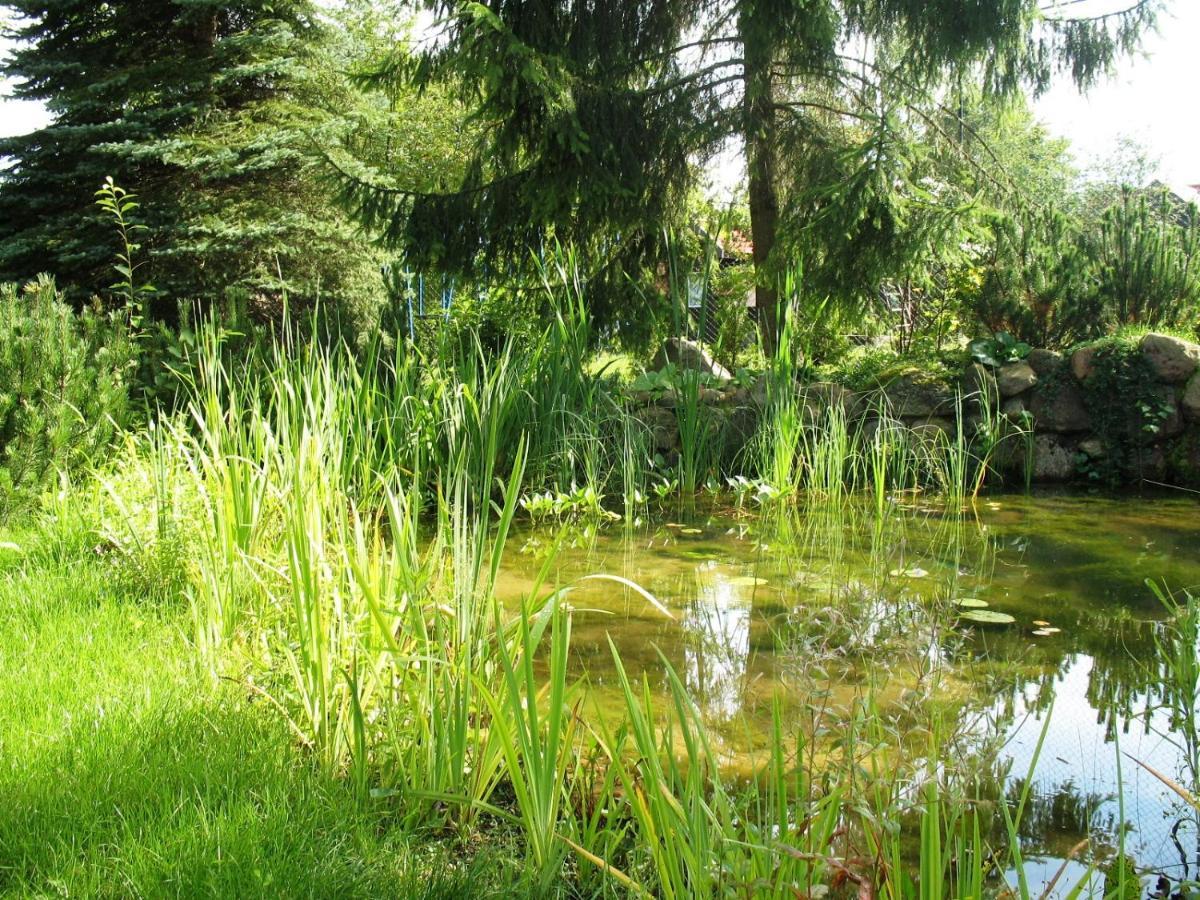 Osrodek Szeligi Hotel Ełk Buitenkant foto