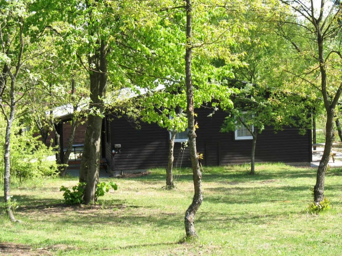 Osrodek Szeligi Hotel Ełk Buitenkant foto